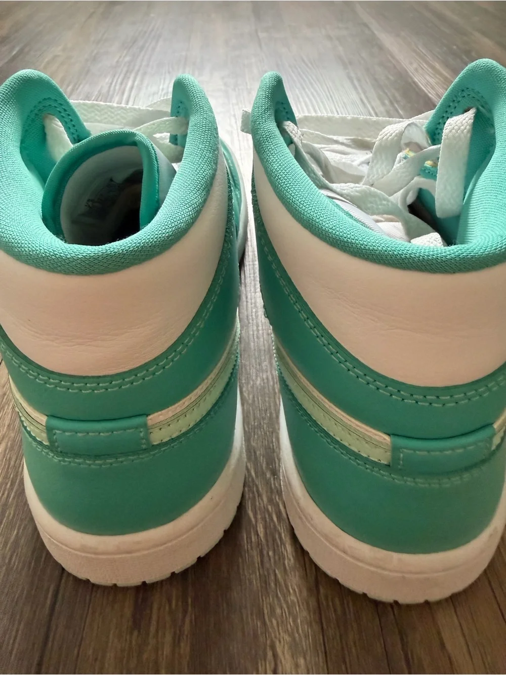 Jordan iconic silhouette